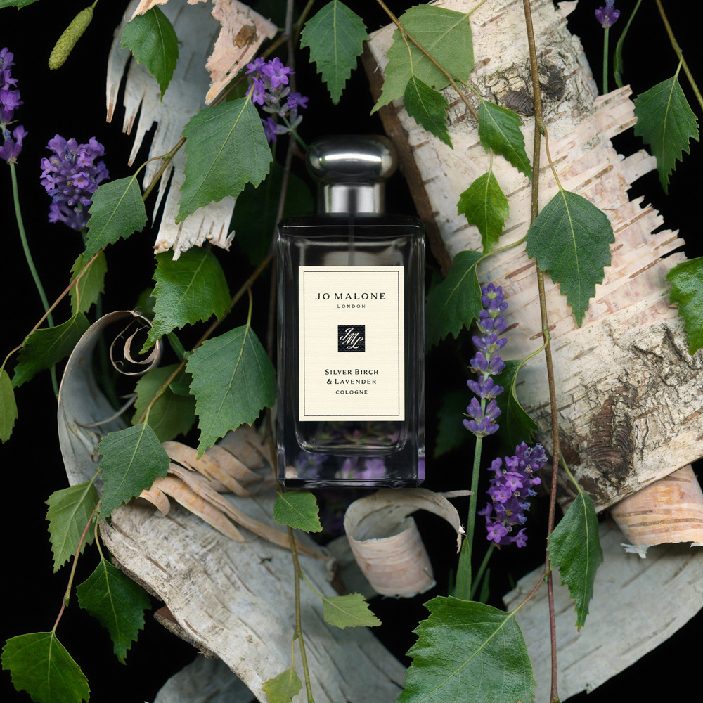Silver Birch & Lavender, Cologne