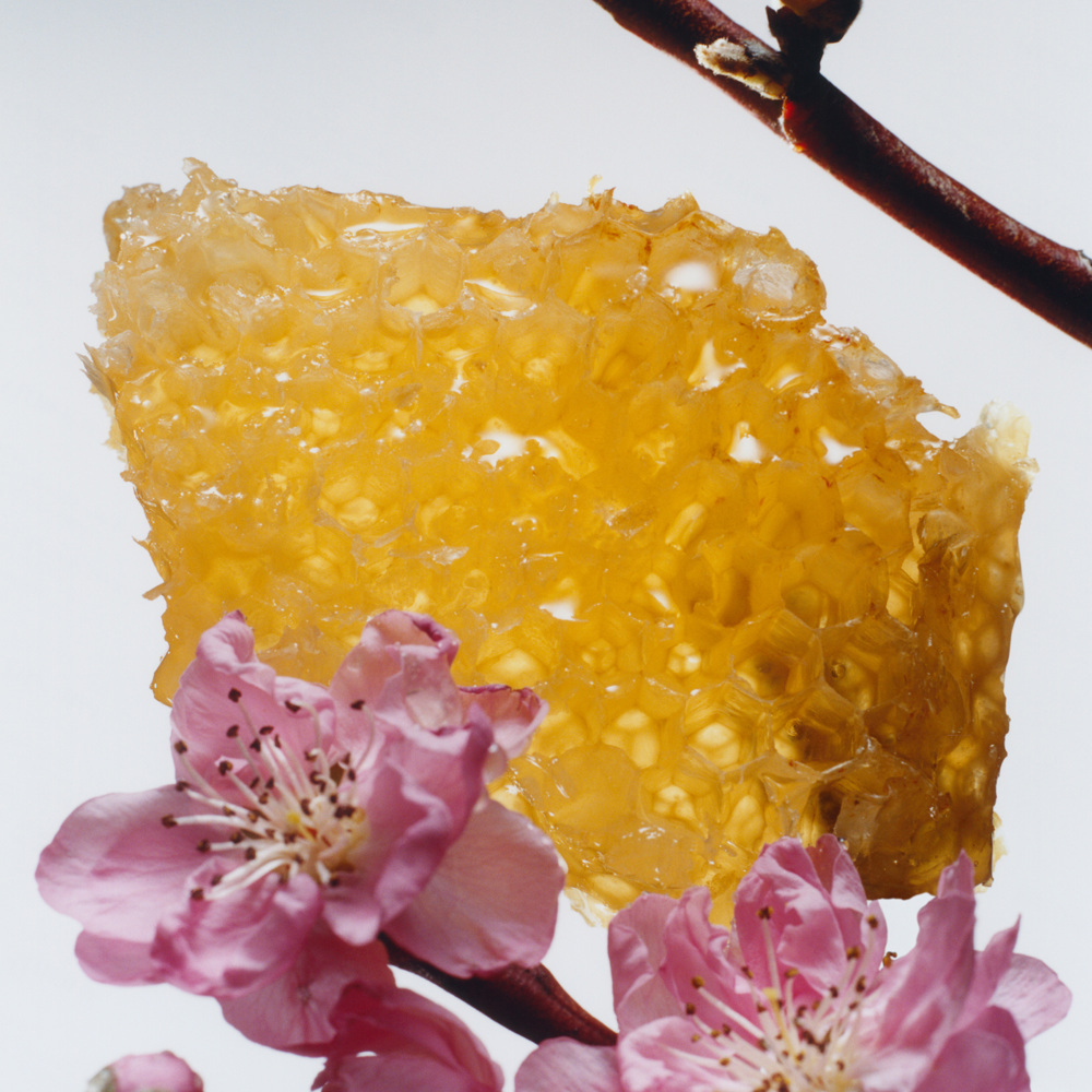 Nectrarin Blossom & Honey, Cologne