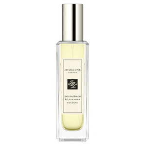 Silver Birch & Lavender, Cologne