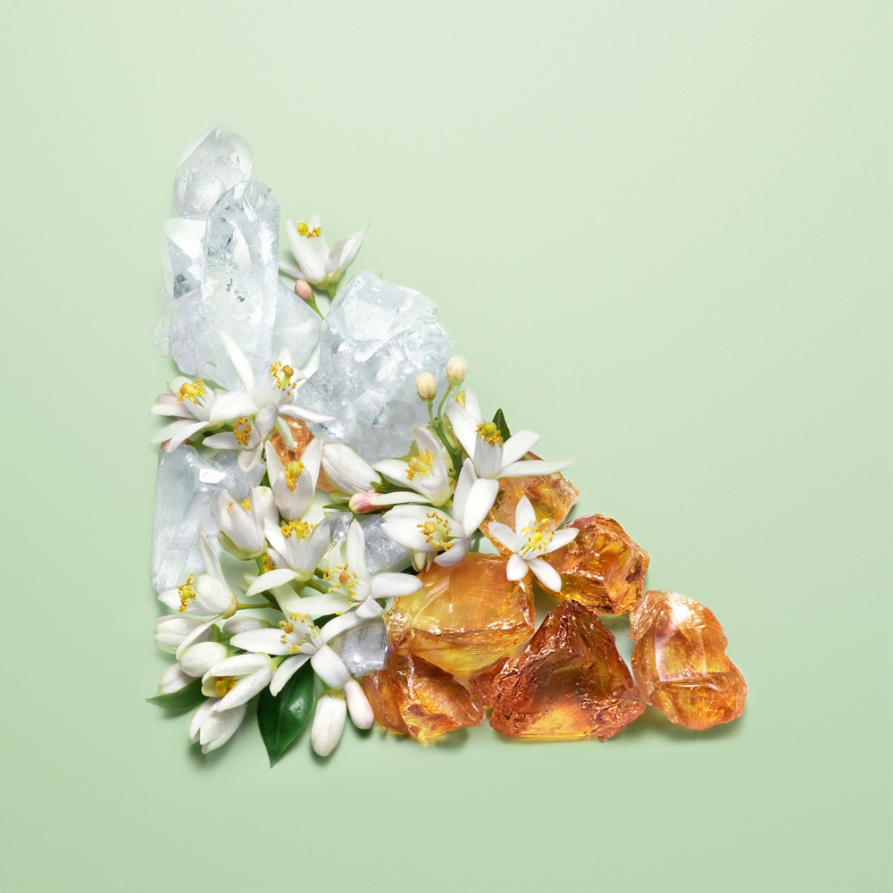 Paradoxe, EdP