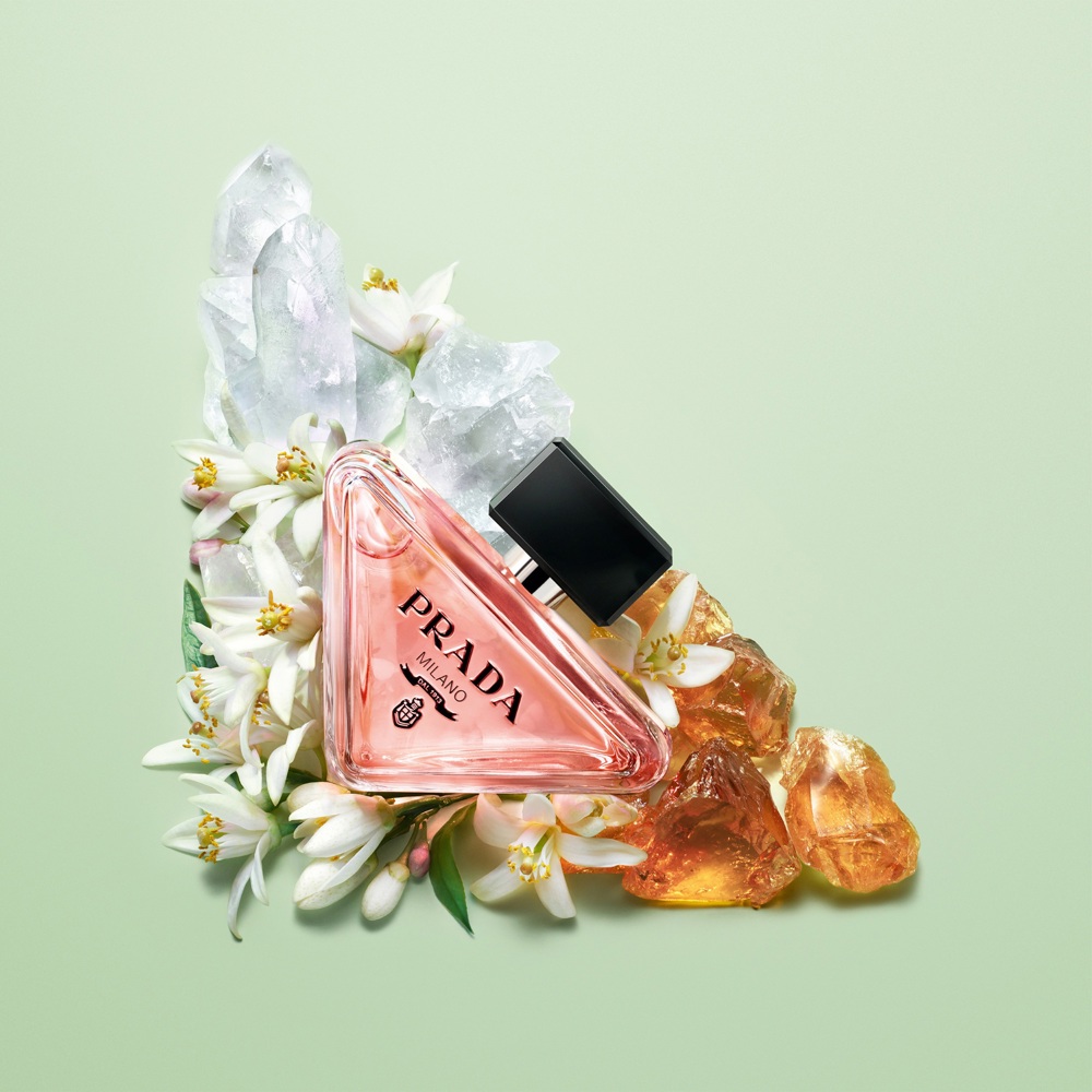 Paradoxe, EdP