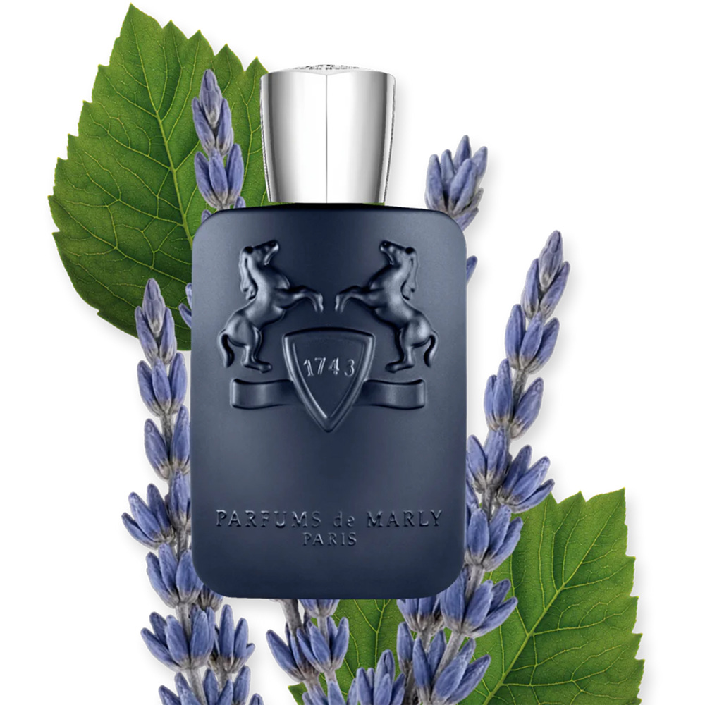 Layton, EdP