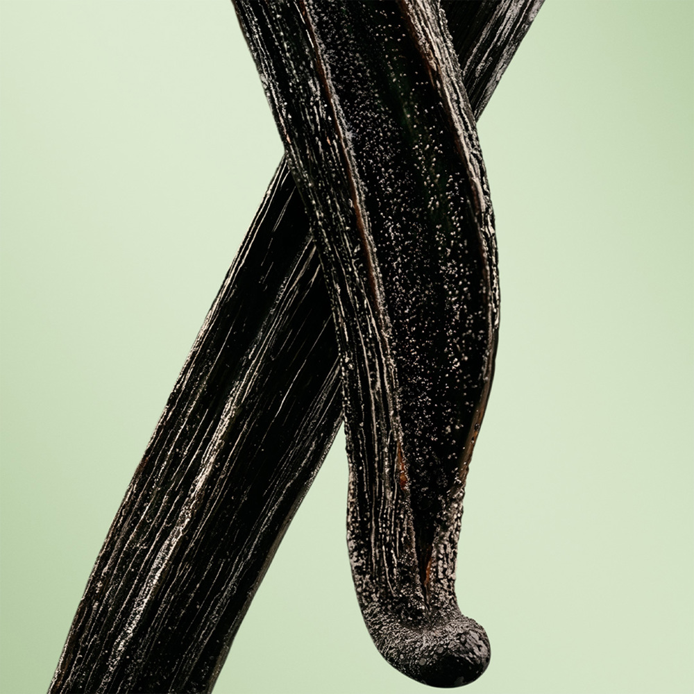 Paradigme, Parfum