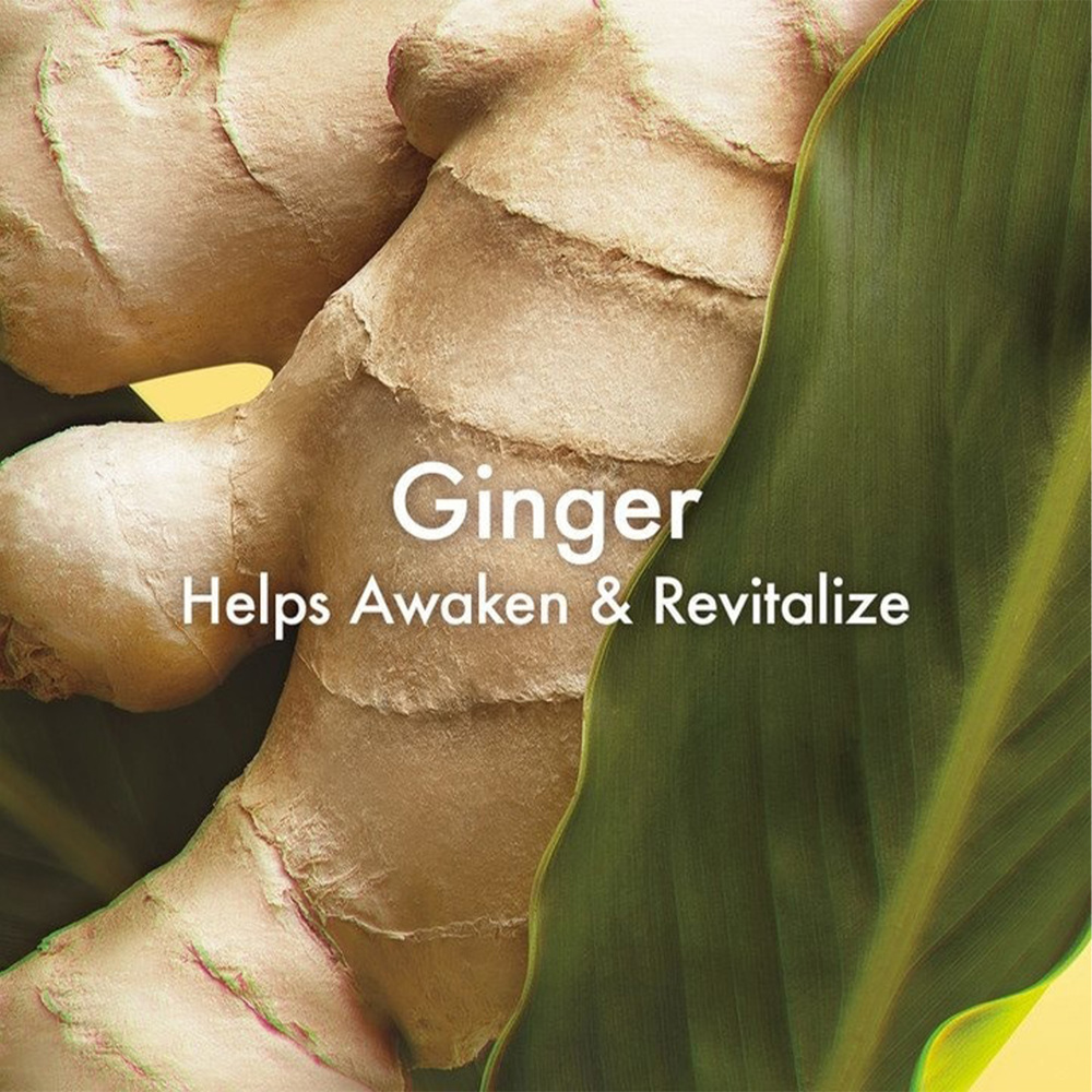 Ginger Essence Rollerball, 10ml