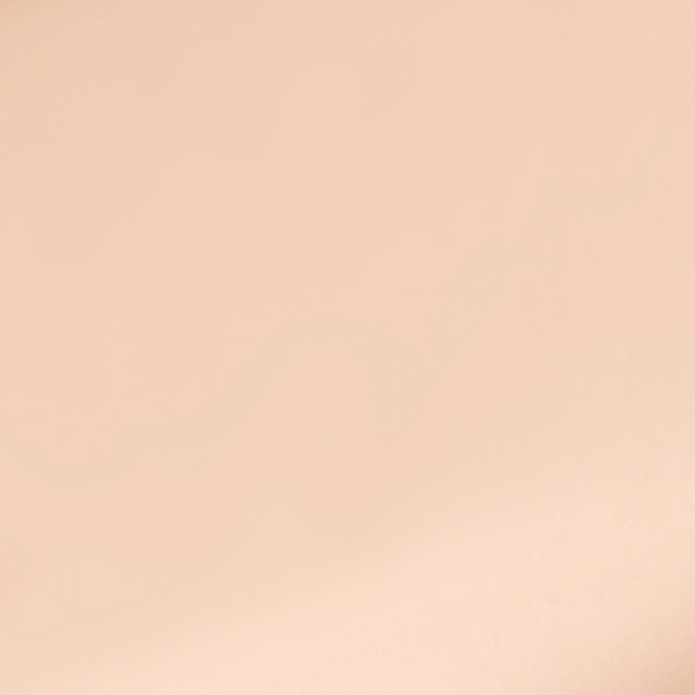 The No Compromise 2-in-1 Soft-Matte Foundation & Concealer