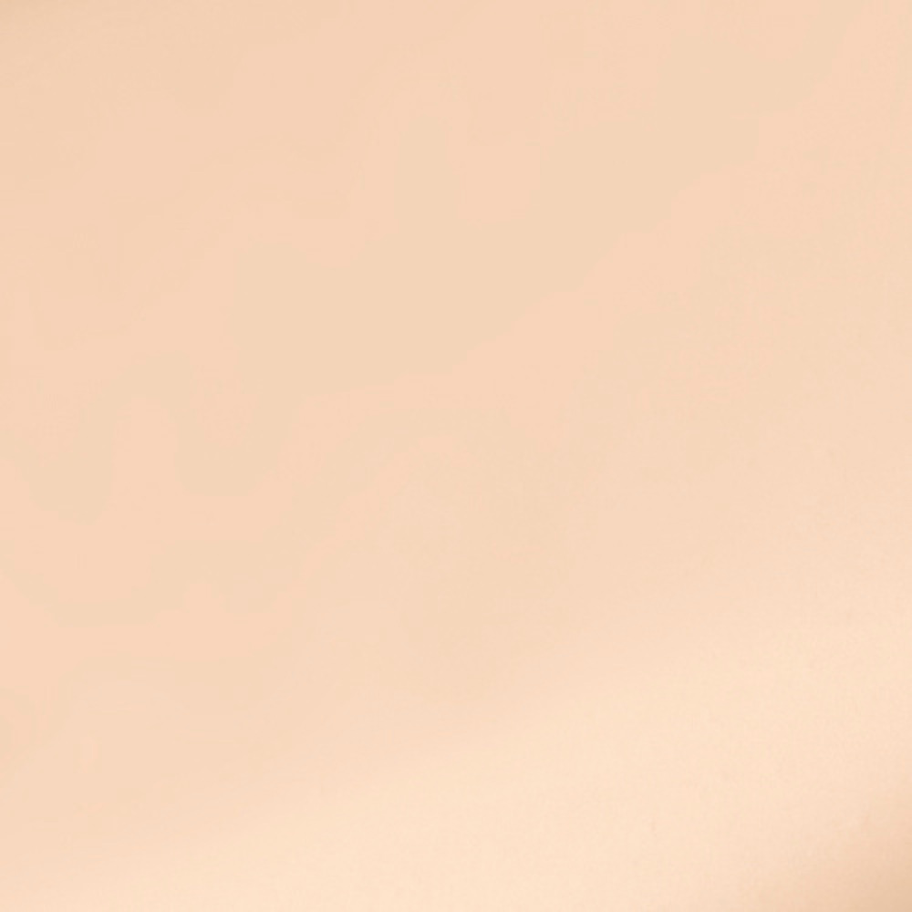 The No Compromise 2-in-1 Soft-Matte Foundation & Concealer
