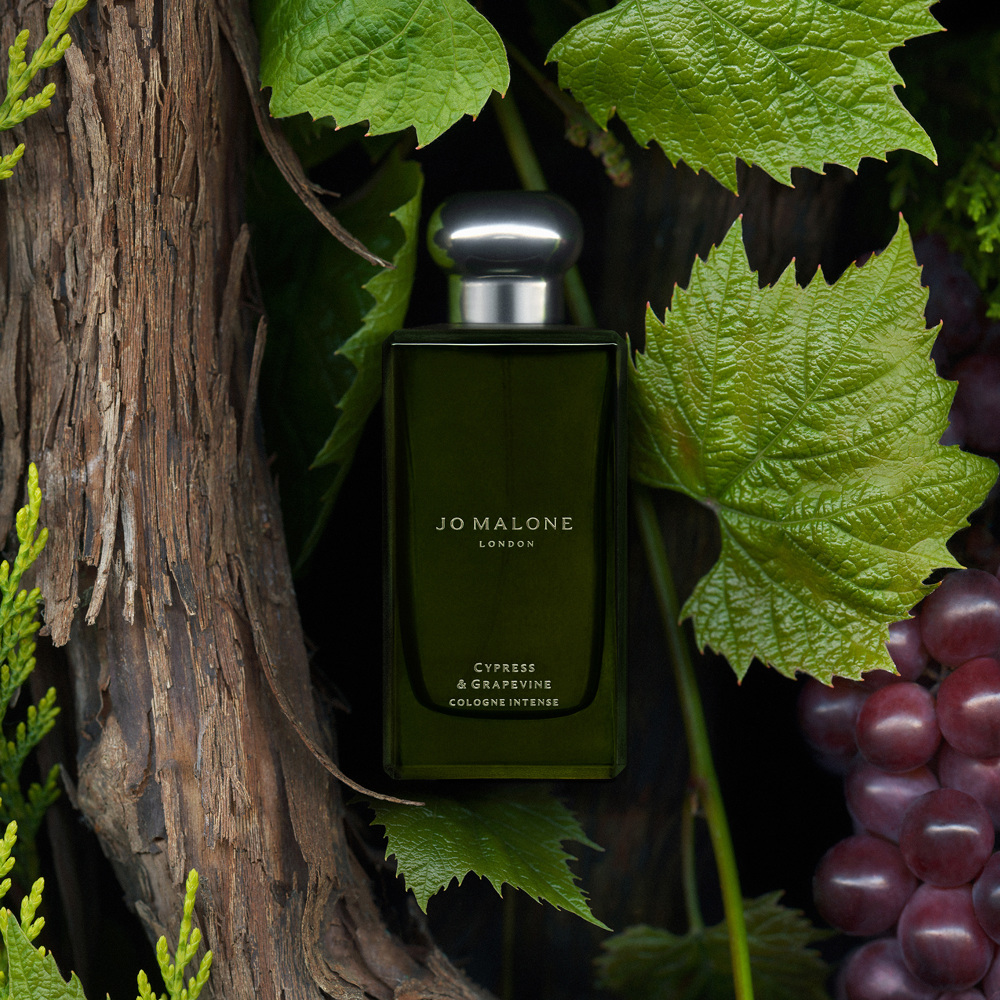 Cypress & Grapevine Everywhere & More Set
