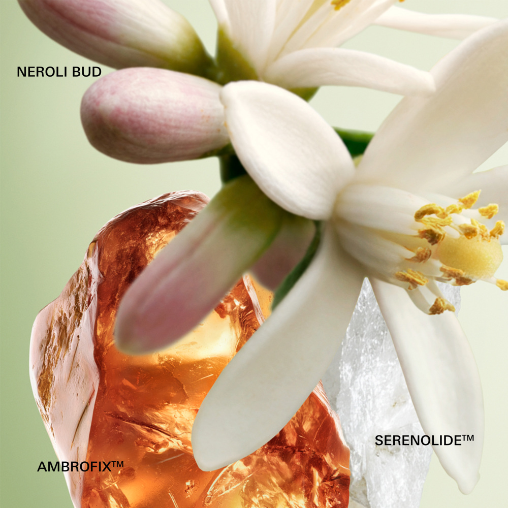 Paradoxe, EdP