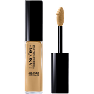 Teint Idôle Ultra Wear All Over Concealer