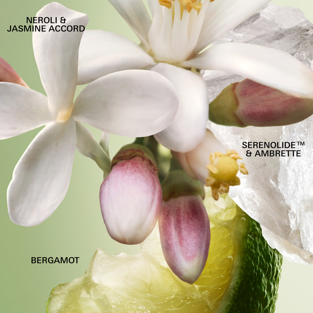 Paradoxe Virtual Flower, EdP