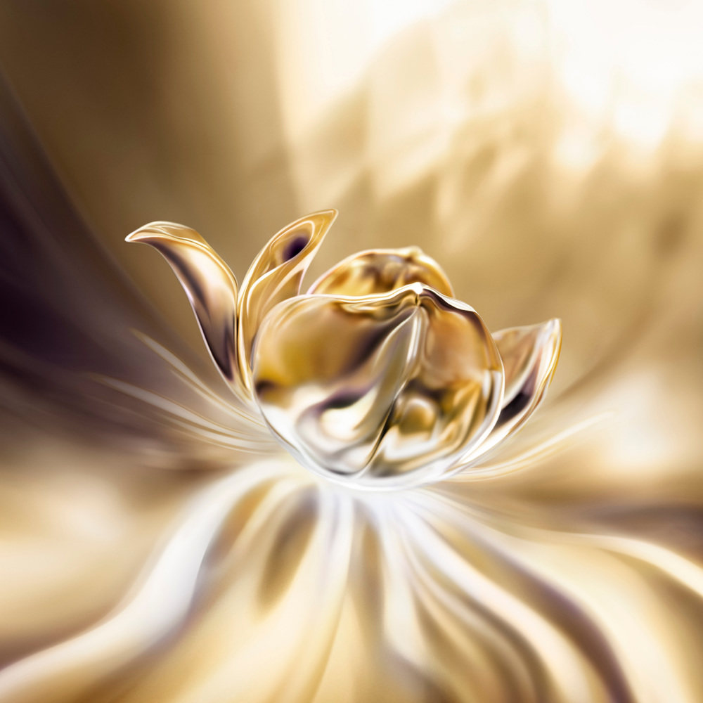 Absolue Longevity the Soft Cream
