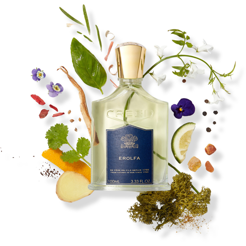 Erolfa, EdP