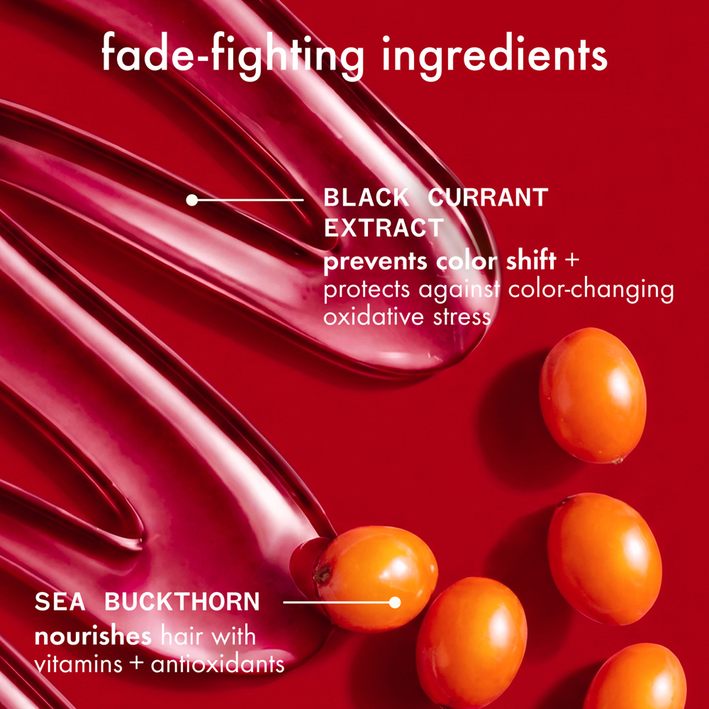 The Protector Color Protect + Strengthen Treatment