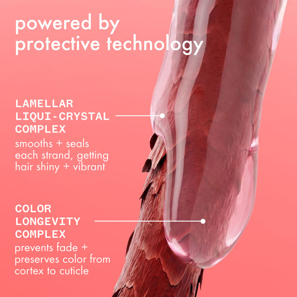 The Protector Color Protect + Strengthen Treatment