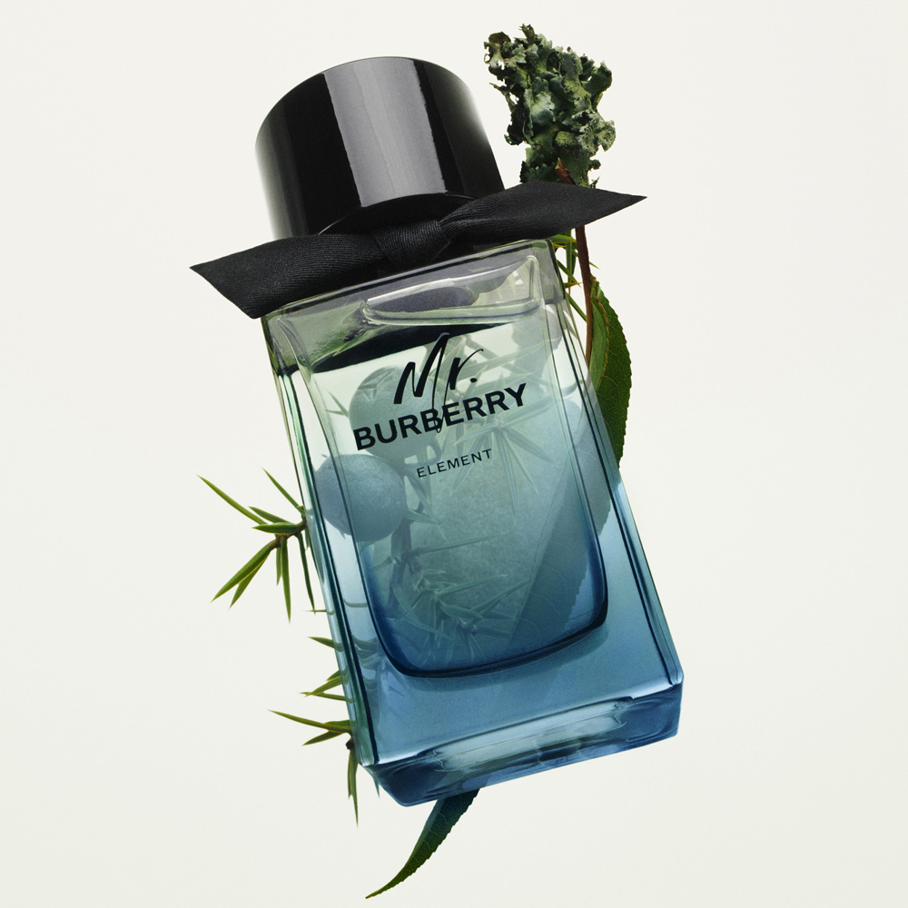 Mr. Burberry Element, EdT
