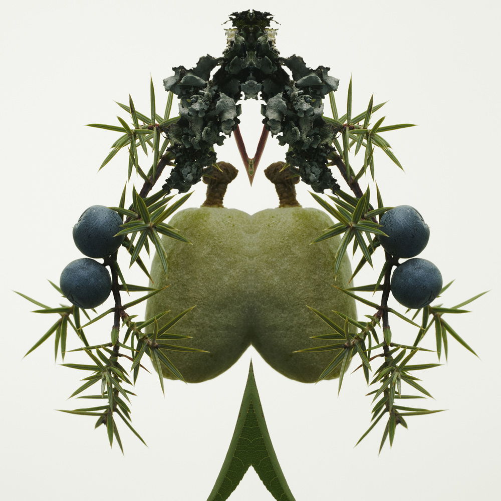 Mr. Burberry Element, EdT