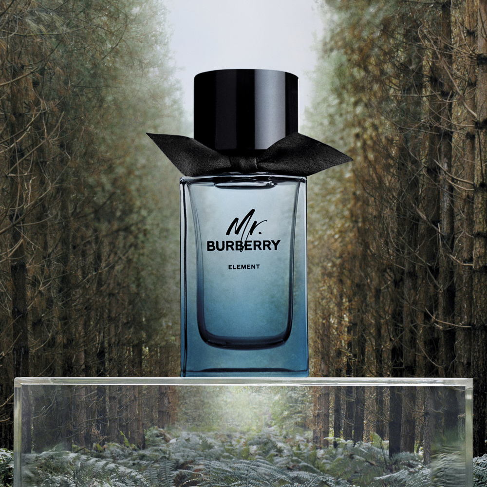 Mr. Burberry Element, EdT