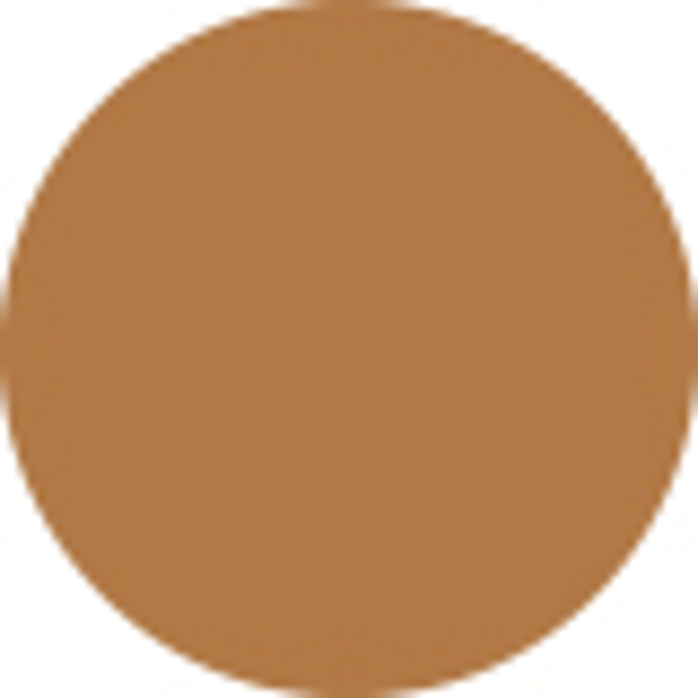 Bronzing Powder 4.5g