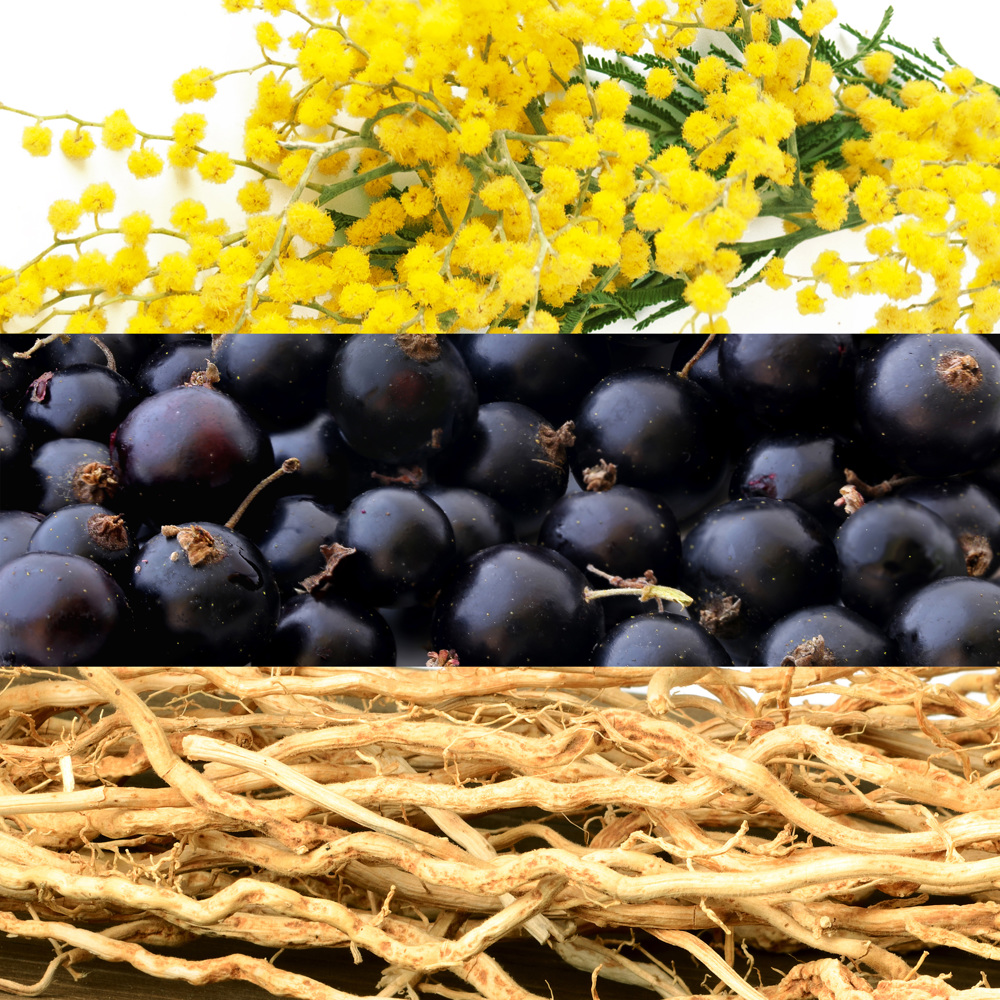 Eau de Lacoste L.12.12 Pour Elle Elegant, EdT