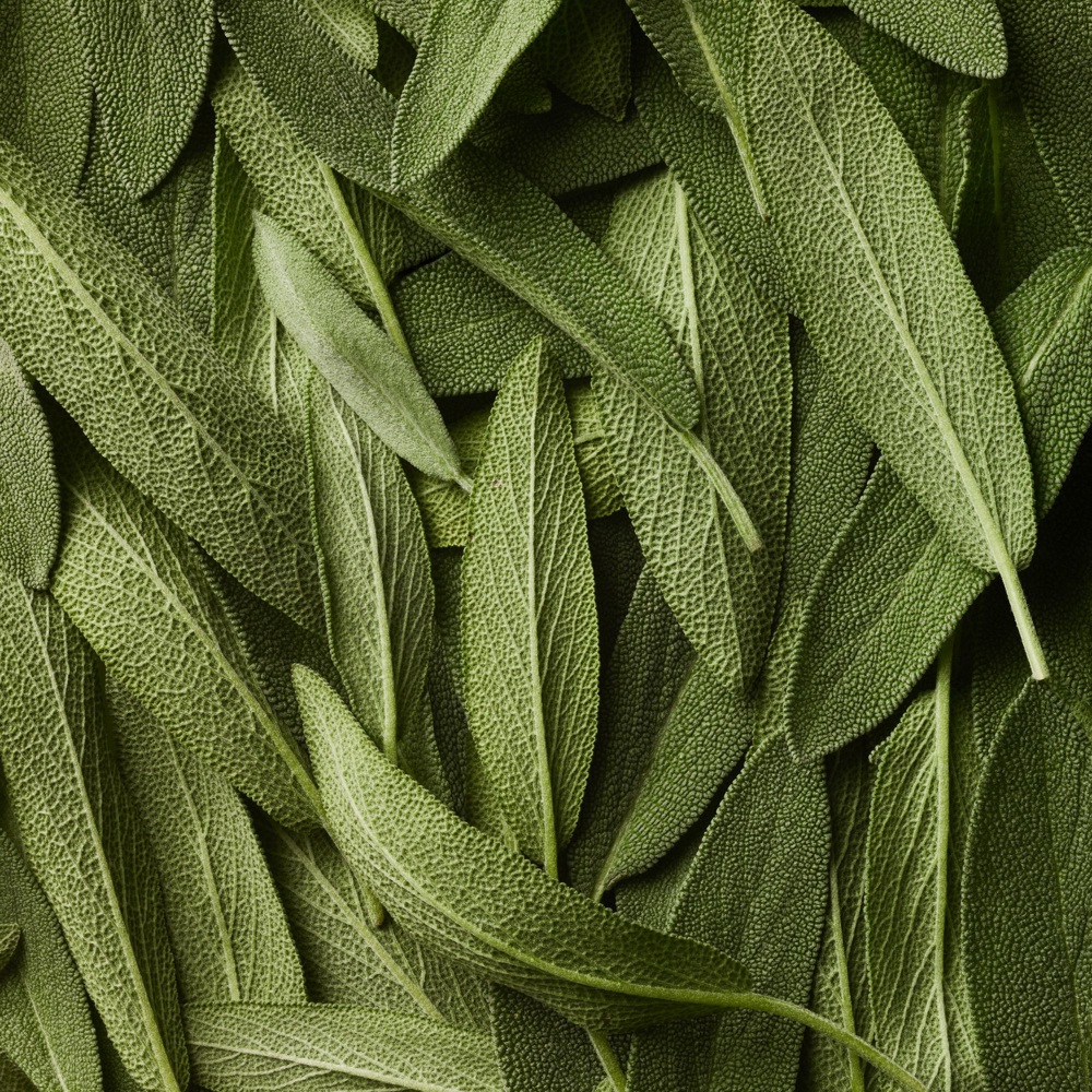 Polo Blue Gold Blend, EdP