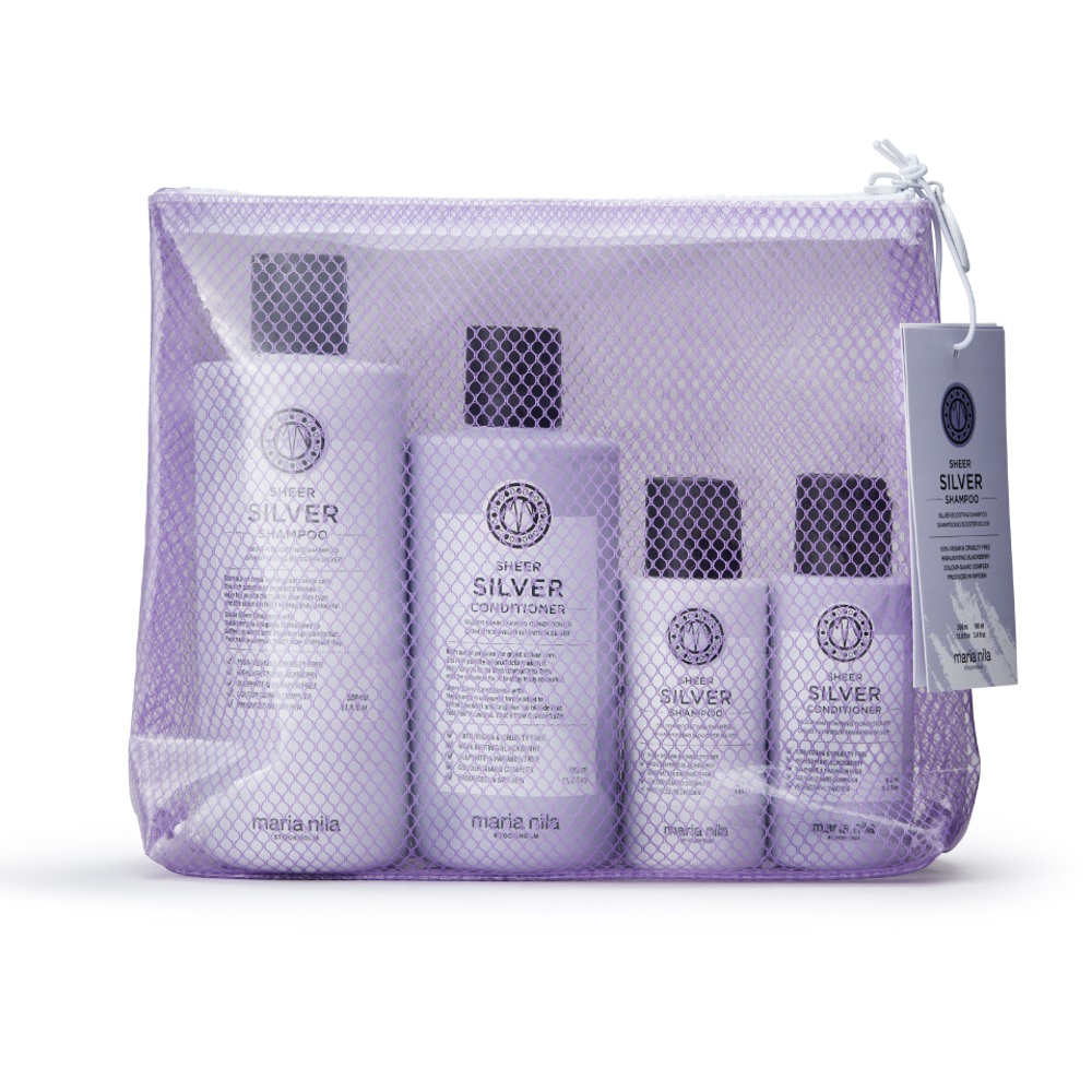 Sheer Silver Beauty Bag