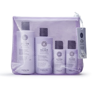 Sheer Silver Beauty Bag