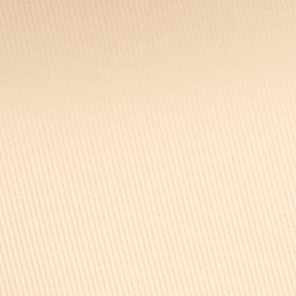 Velvet Touch Sheer Cover Compact Powder