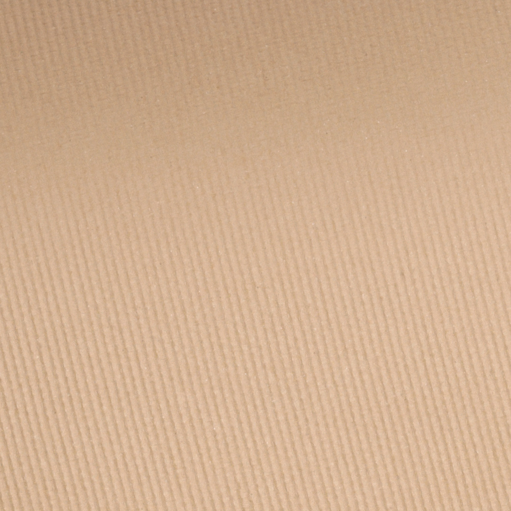 Velvet Touch Sheer Cover Compact Powder