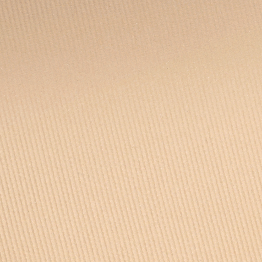 Velvet Touch Sheer Cover Compact Powder