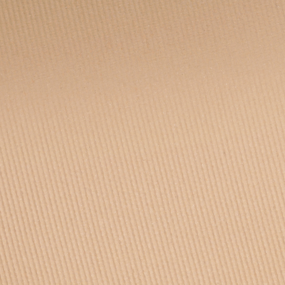 Velvet Touch Ultra Cover Compact Powder SPF20