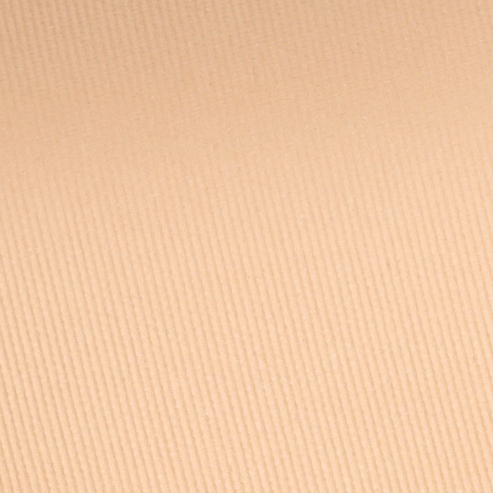 Velvet Touch Ultra Cover Compact Powder SPF20