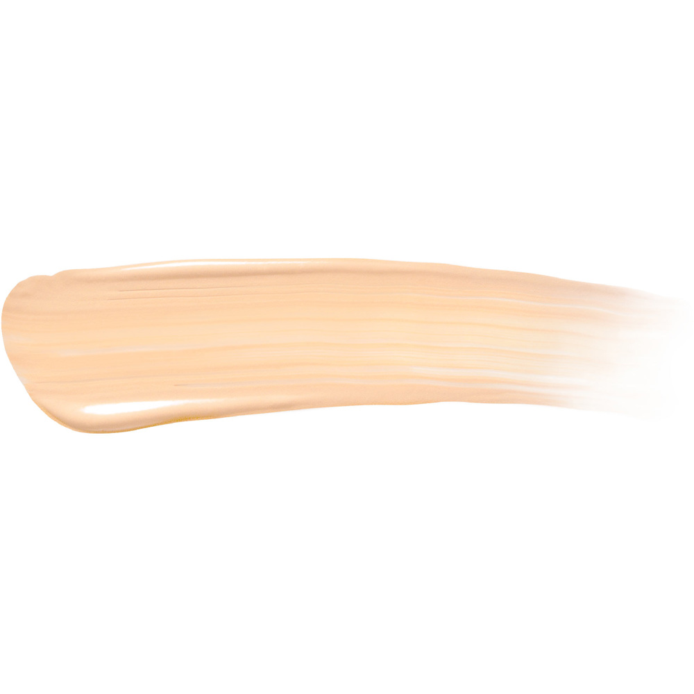 Light Up Brightening Cushion Concealer