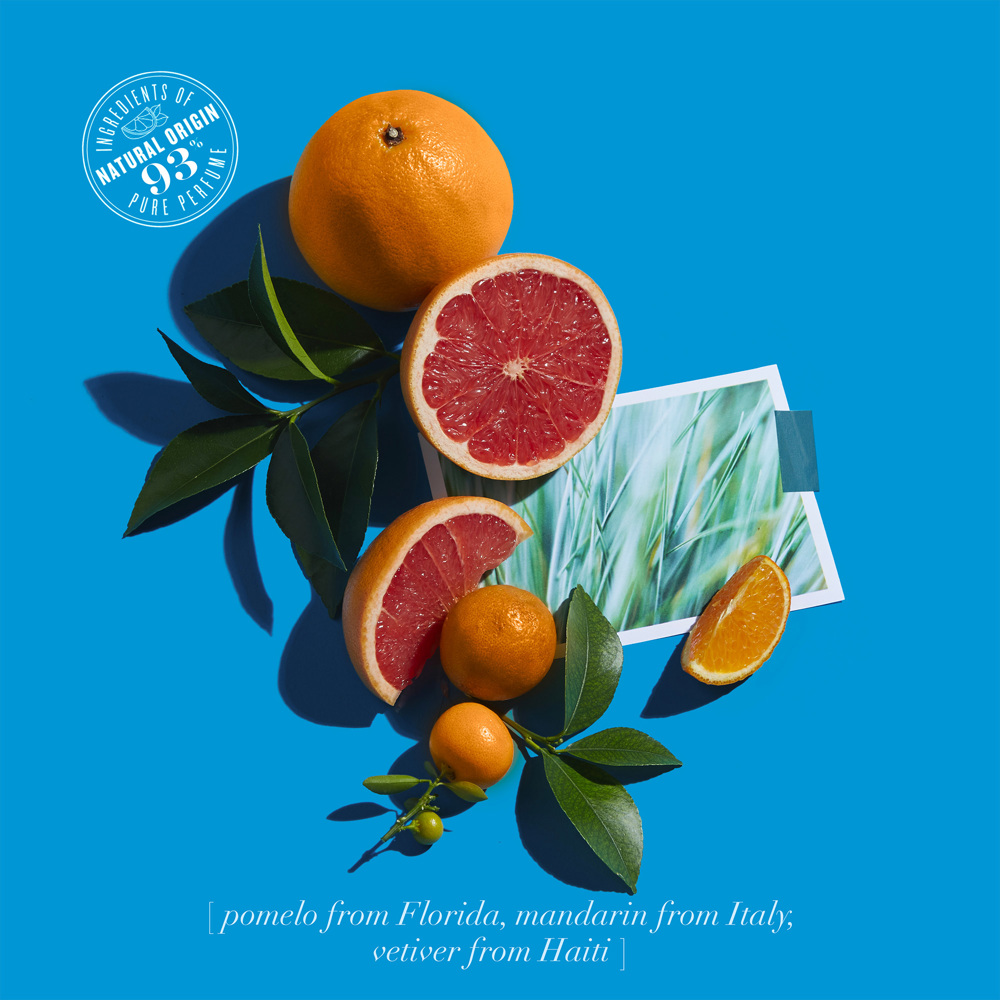 Pomélo Paradis, EdC