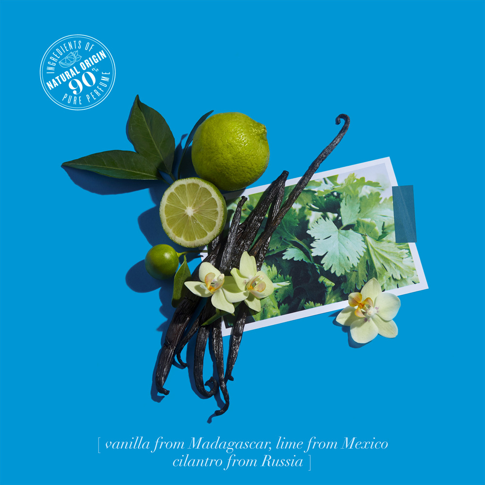 Vanille Insensée, EdC