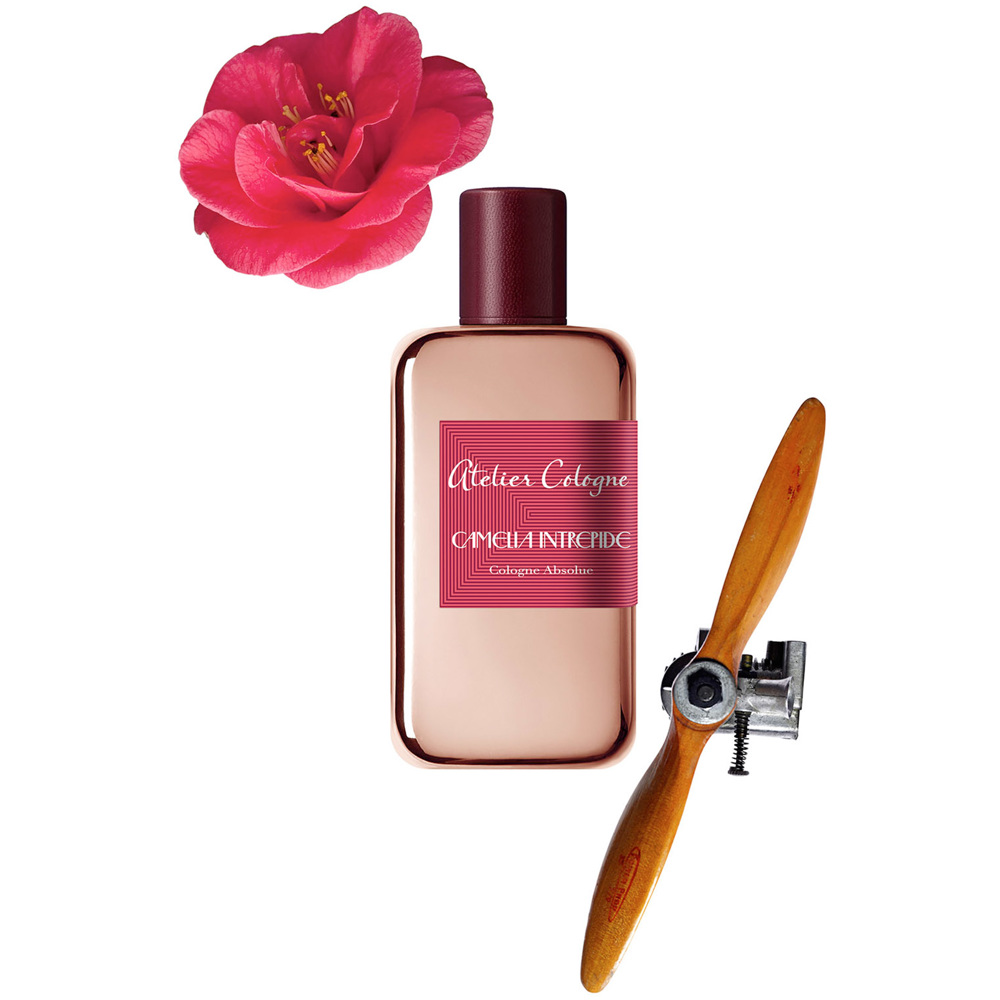 Camélia Intrépide, EdC