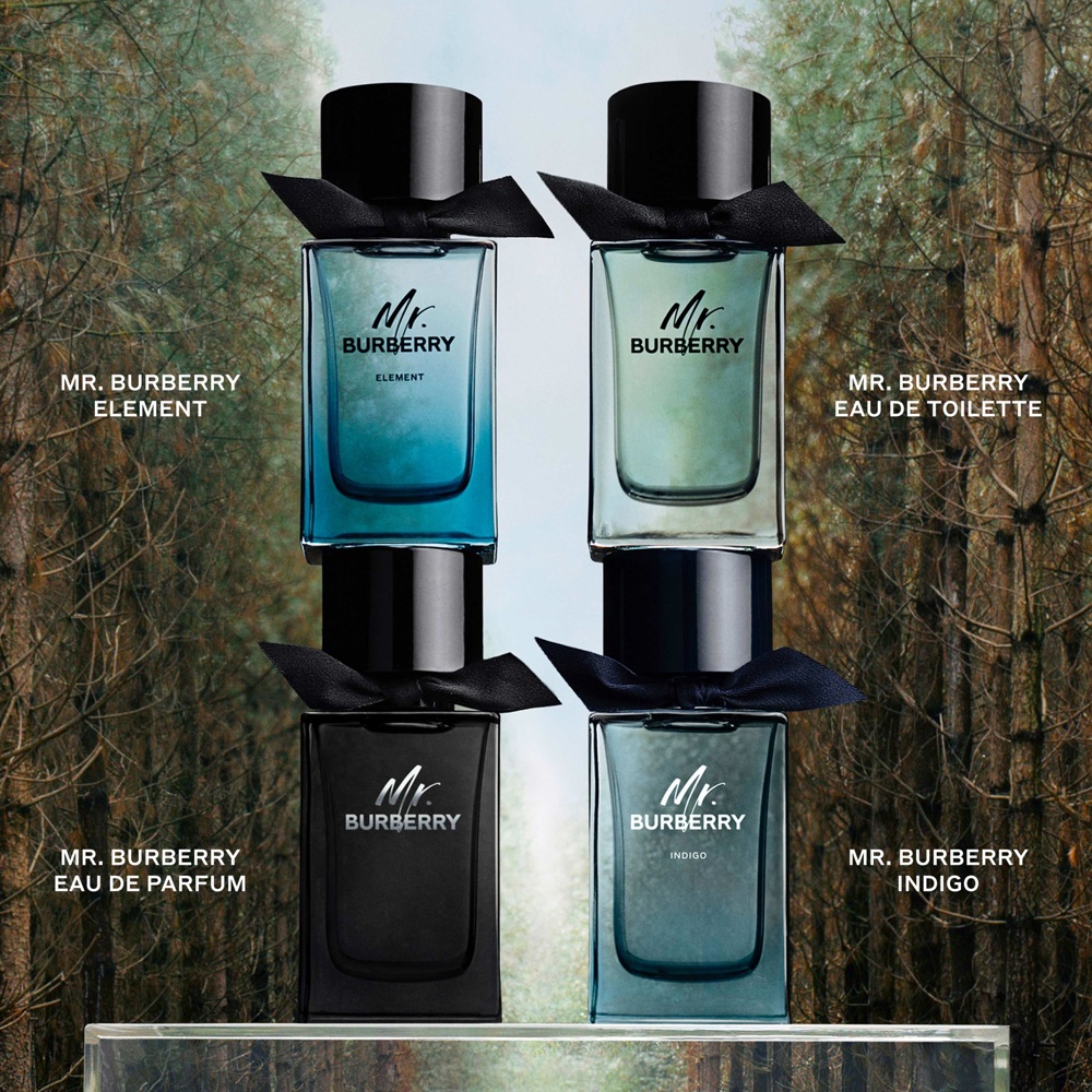 Mr. Burberry Element, EdT