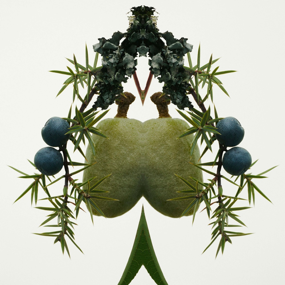 Mr. Burberry Element, EdT