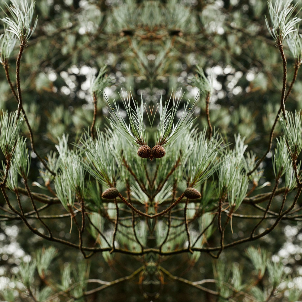 Mr. Burberry Element, EdT