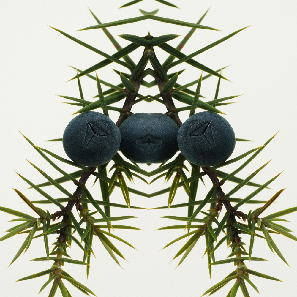 Mr. Burberry Element, EdT