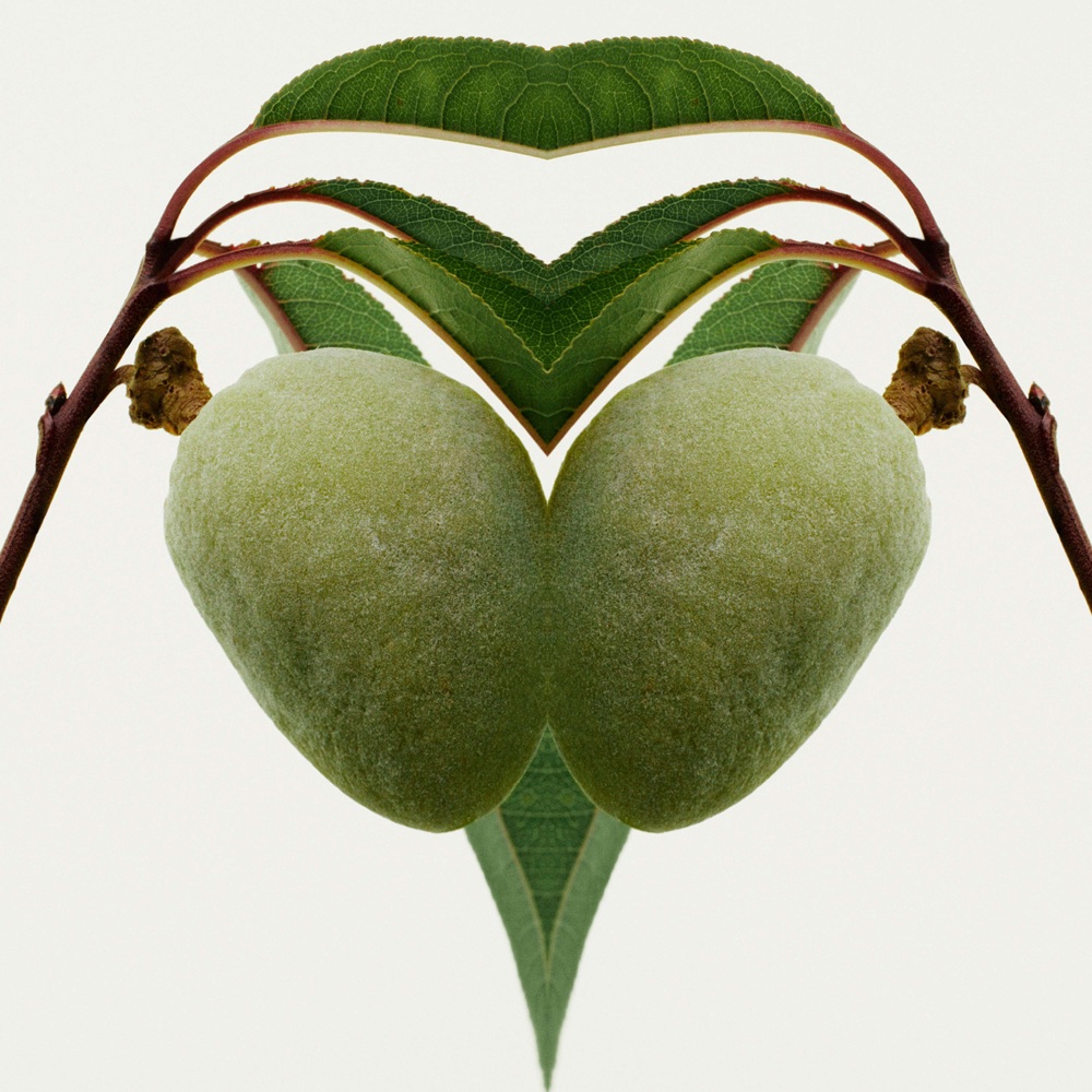 Mr. Burberry Element, EdT