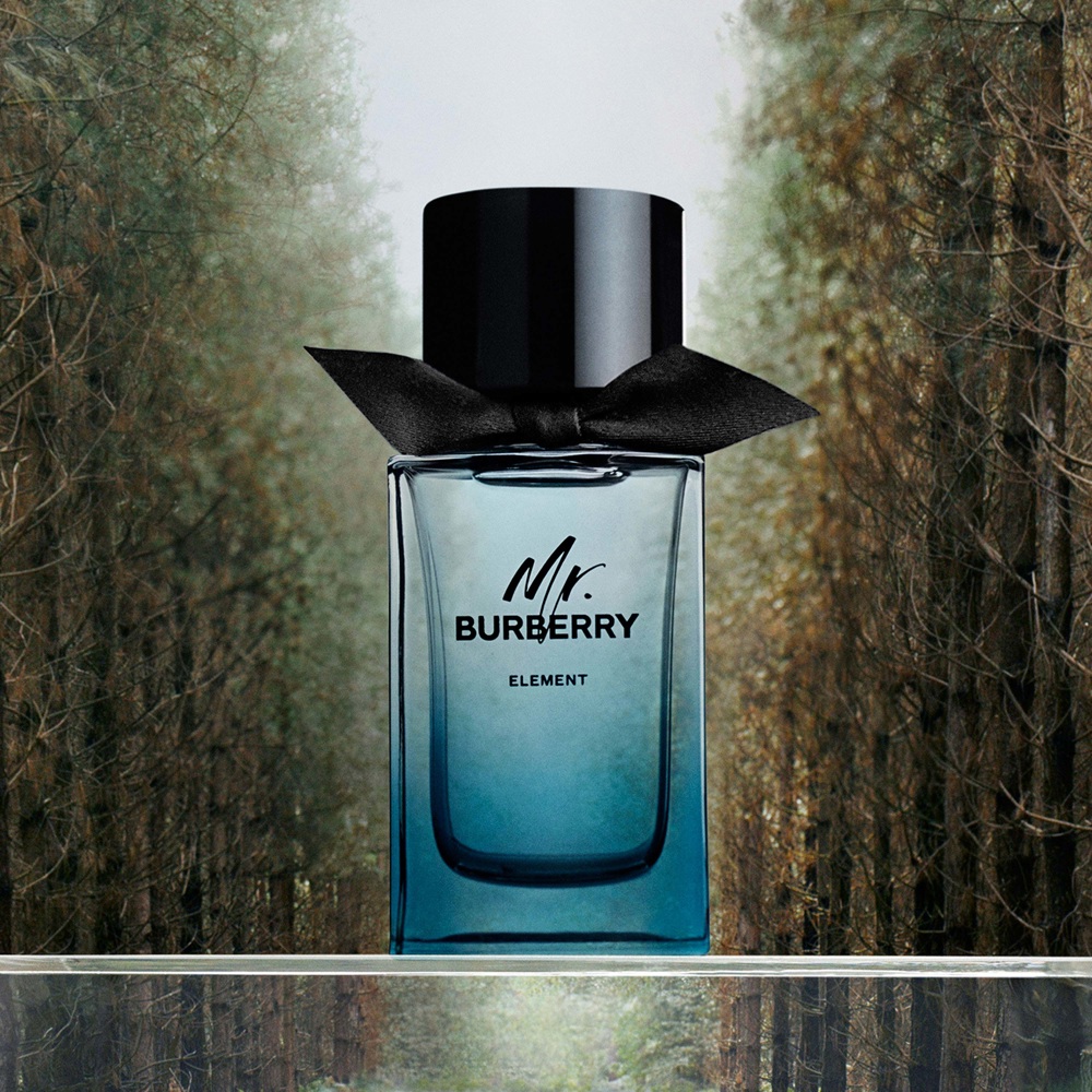 Mr. Burberry Element, EdT