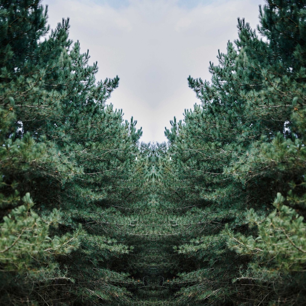 Mr. Burberry Element, EdT