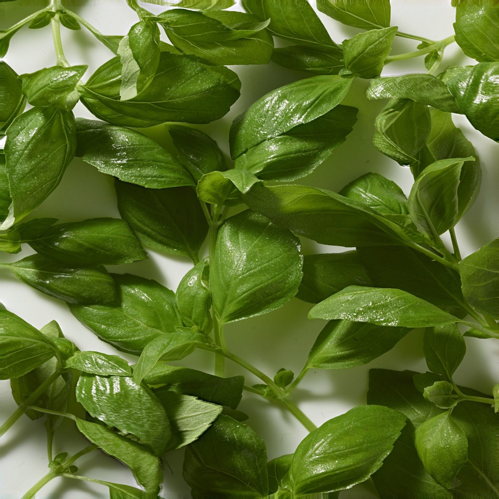 Polo Ultra Blue, EdT