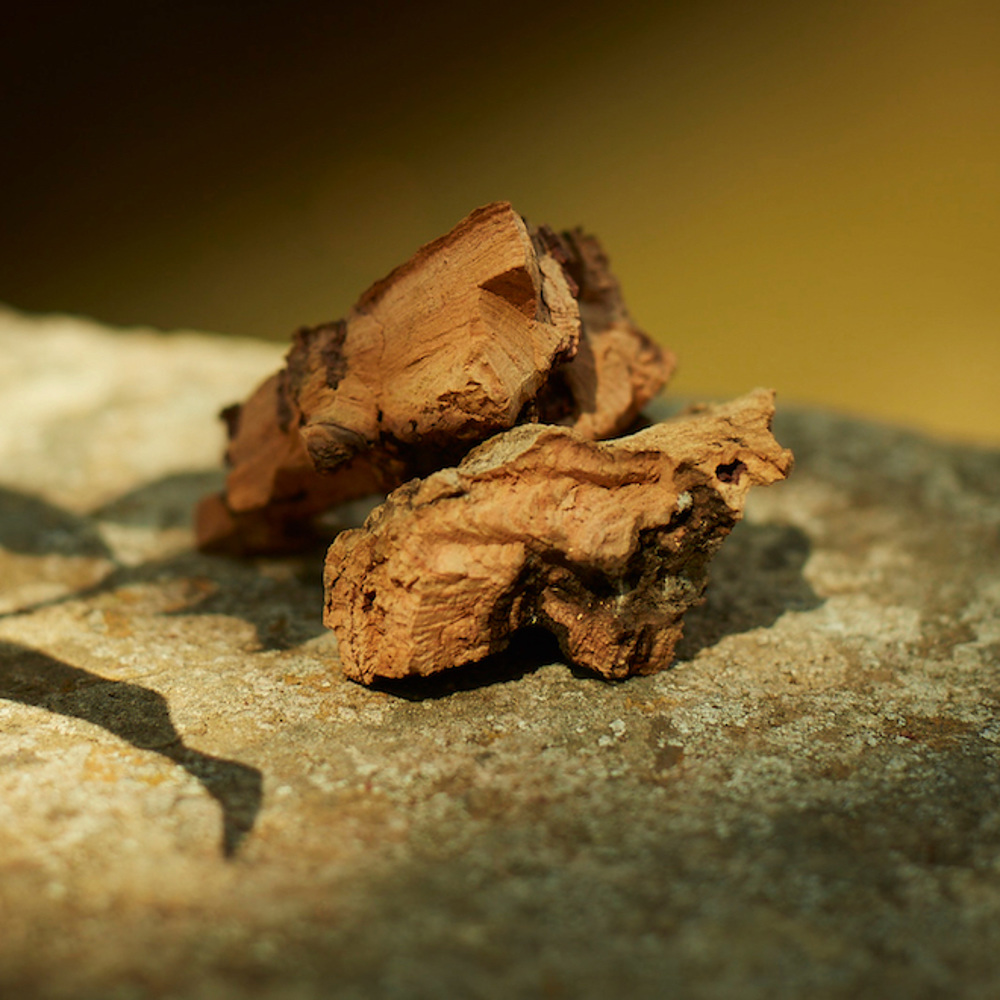 Mémoire D'Une Odeur, EdP