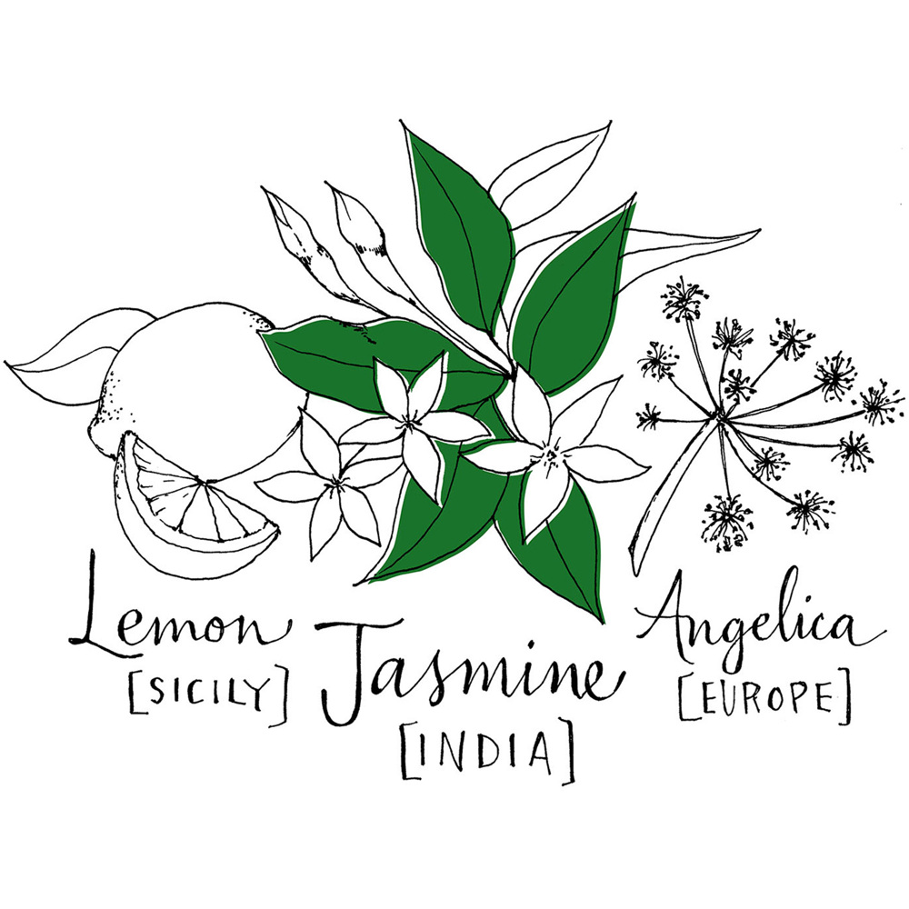 Jasmin Angélique, EdC