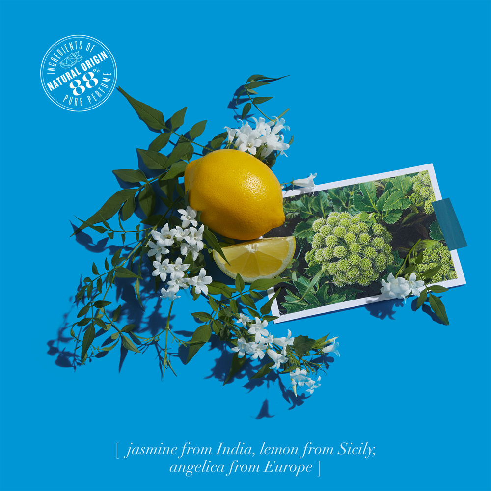 Jasmin Angélique, EdC