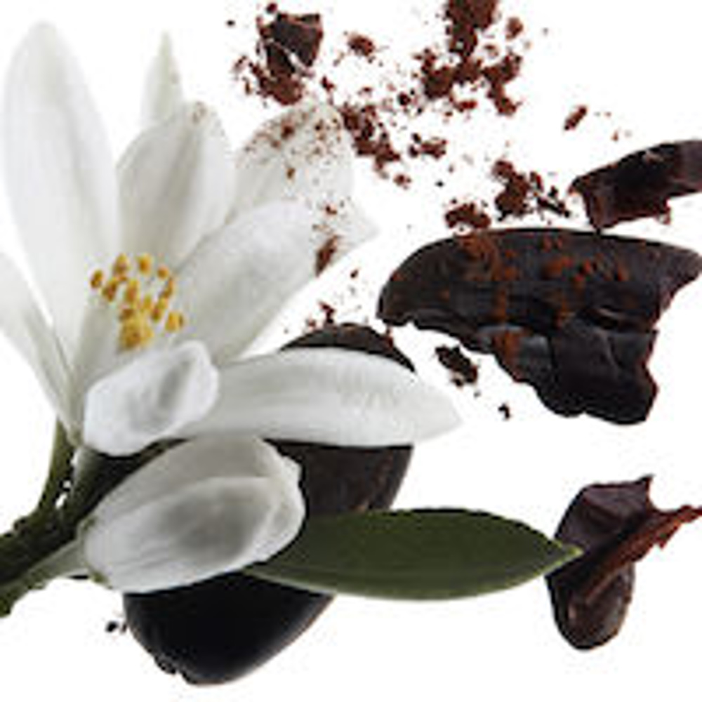 Y Set, EdP 60ml + 50ml Shower Gel