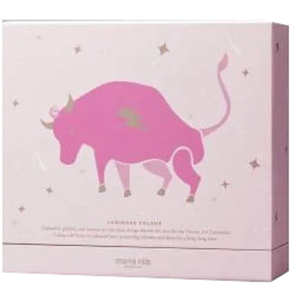 Luminous Colour Holiday Box