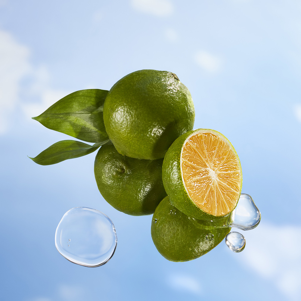 Summer Festival, EdT