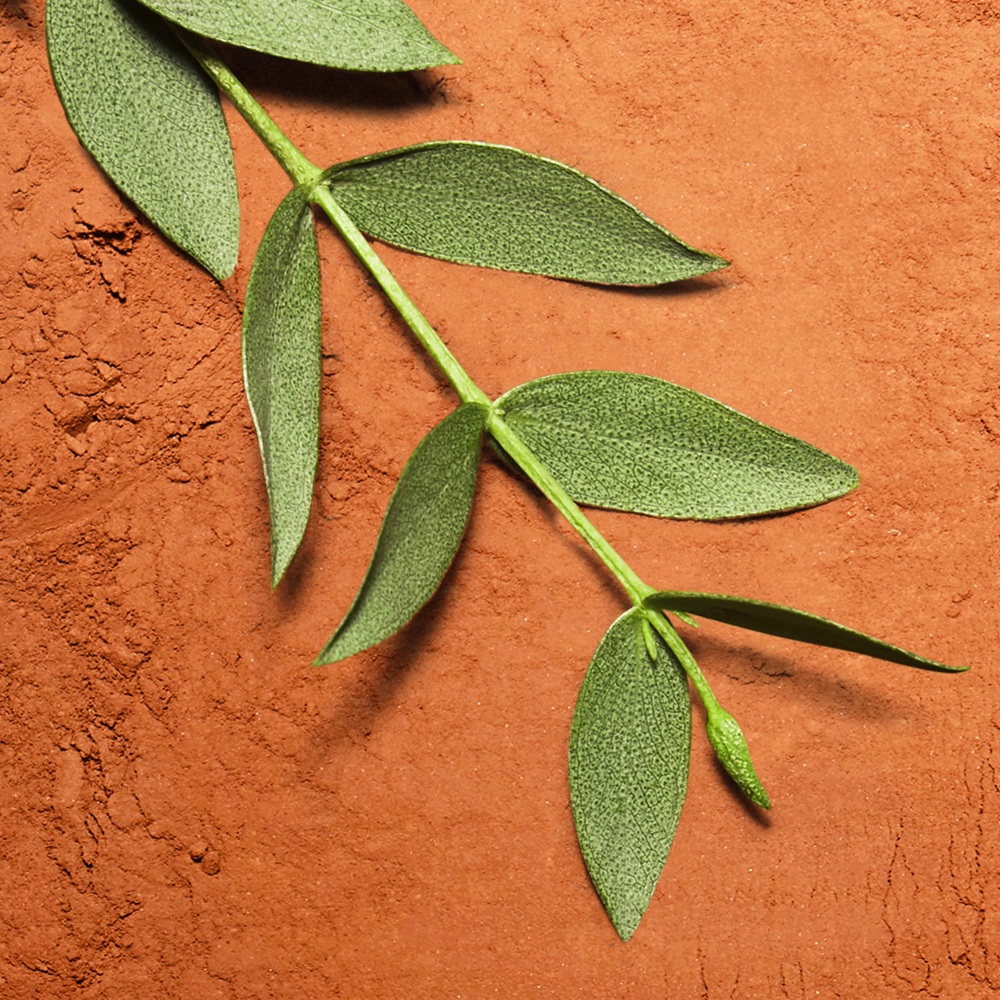 L.12.12 White Pour Homme Roland Garros, EdP 100ml